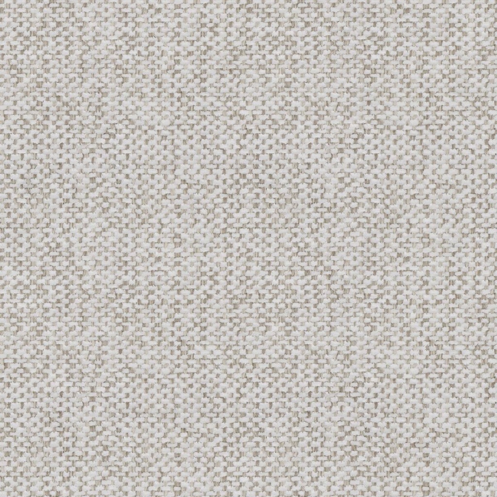 [Salvia Fr 05] Salvia Fr 05
