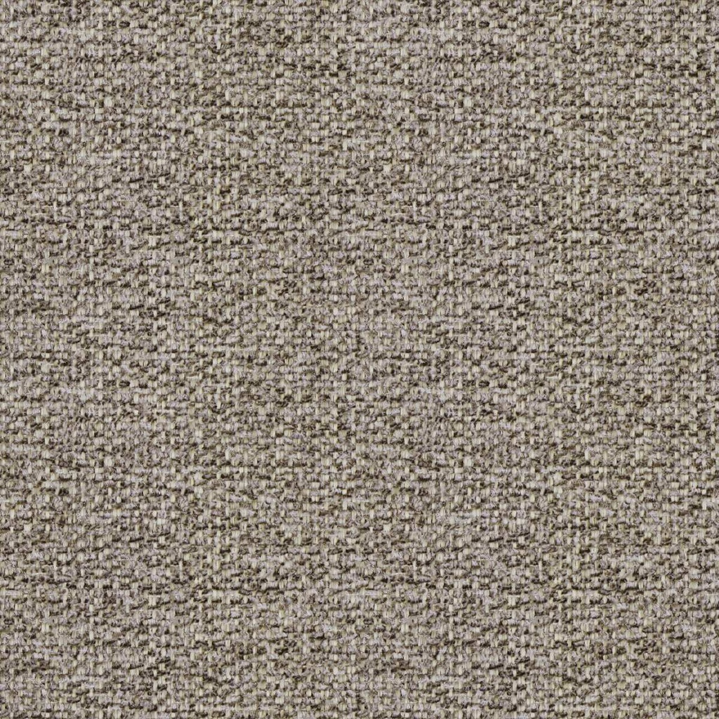 [Salvia Fr 08] Salvia Fr 08