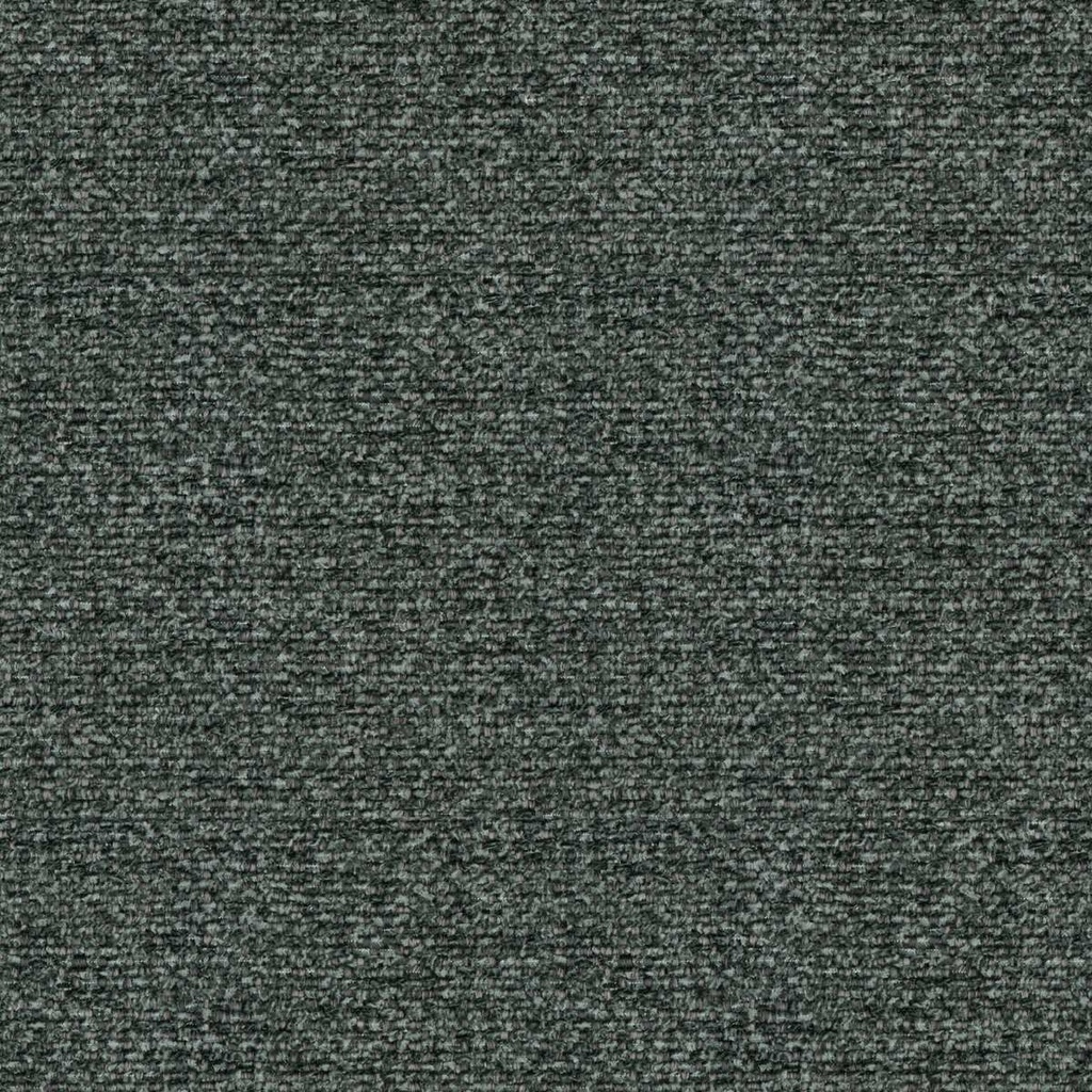 [Salvia Fr 35-Sample] Salvia Fr 35-Sample
