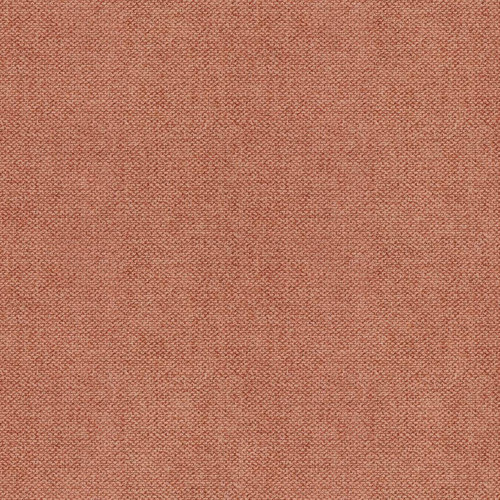 [Velvety Fr 58] Velvety Fr 58