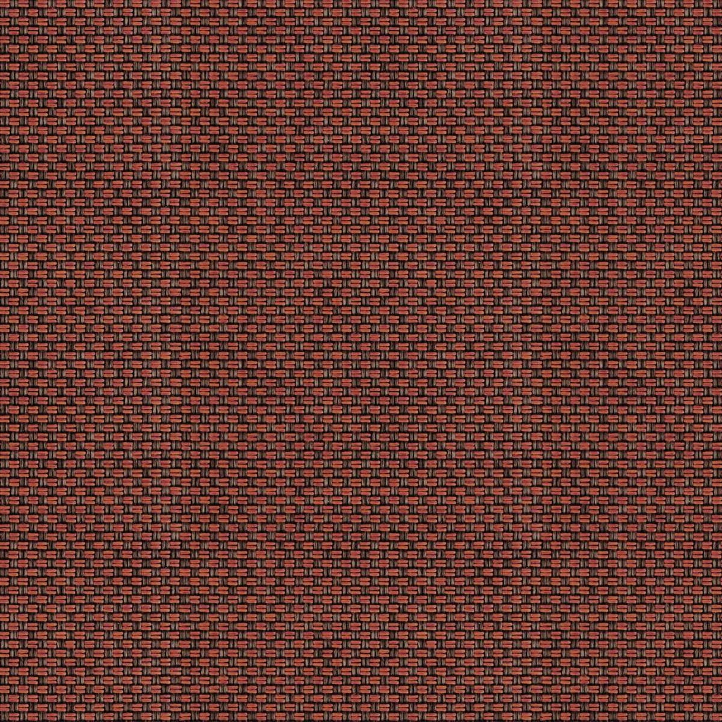 [Vita 26-Sample] Vita 26-Sample