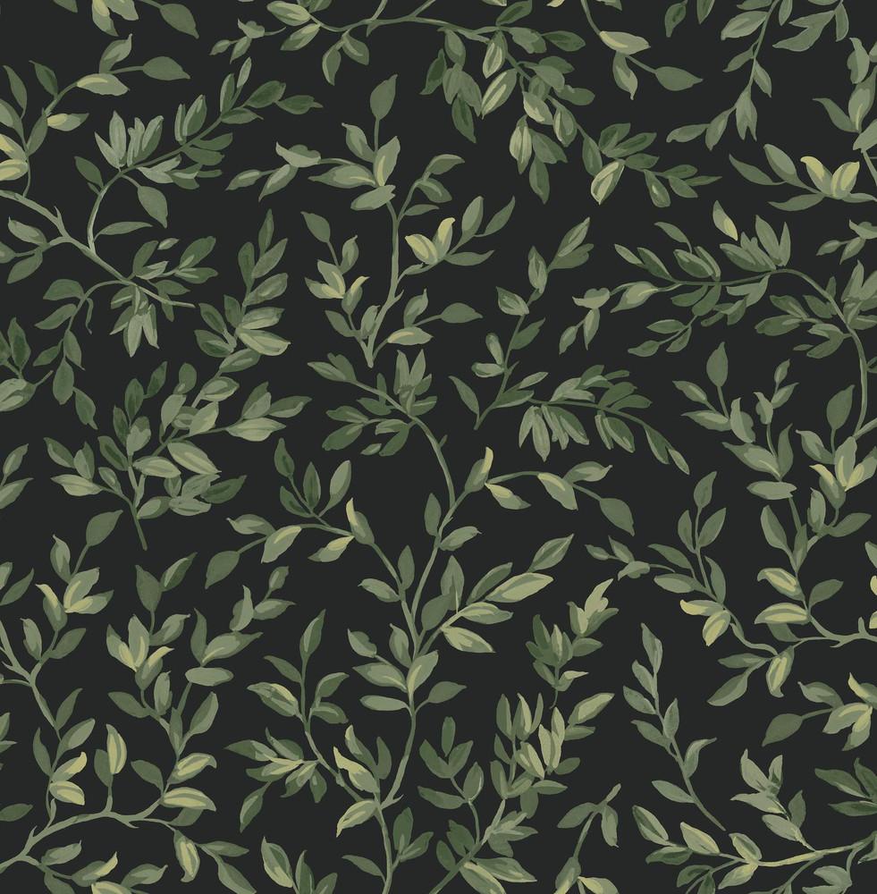 [142347-Sample] Archivist’s Leaf Night (142347) – Muestra