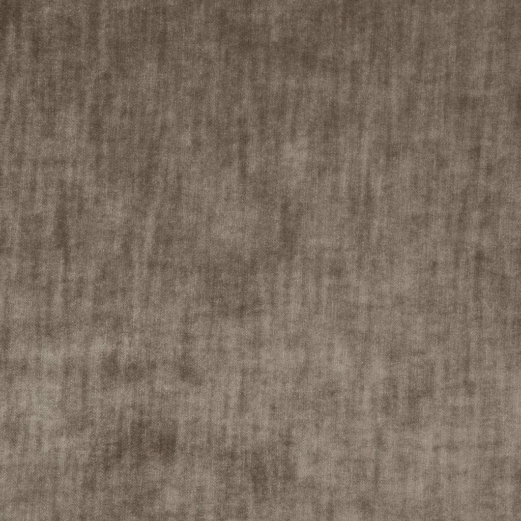 [1113360000014] Paxton FR – Col 14