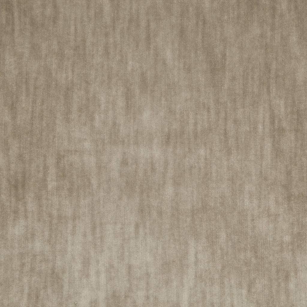 [1113360000015] Paxton FR – Col 15