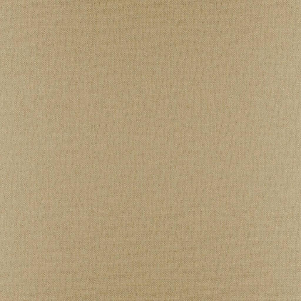 [1113350000015] Beryl FR – Col 15