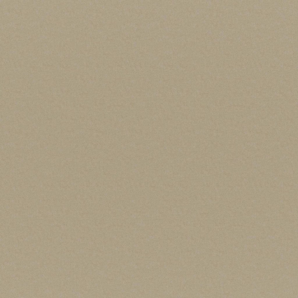 [1113800000005] Reflection – Col 5