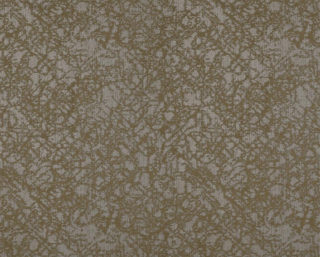 [1114560000005] Spruce – Col 5