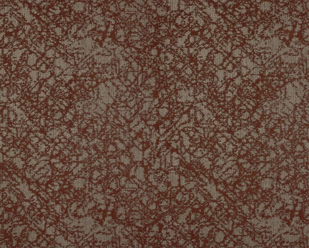 [1114560000006] Spruce – Col 6
