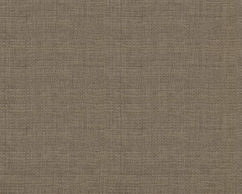 [1114530000010] Olea – Col 10