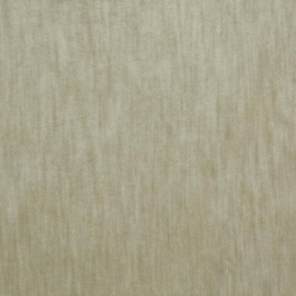[1113360000035-Sample] Paxton FR – Col 35 – Muestra