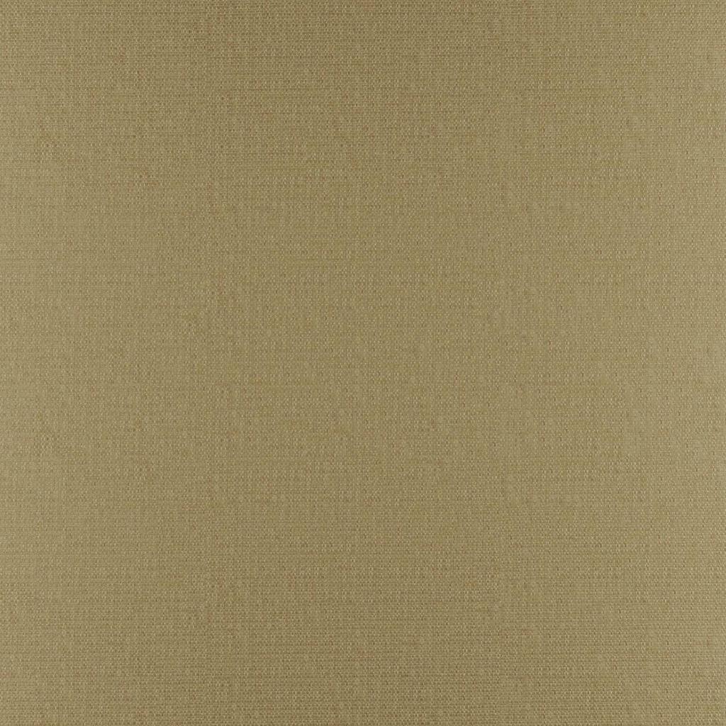 [1113350000016-Sample] Beryl FR – Col 16 – Muestra