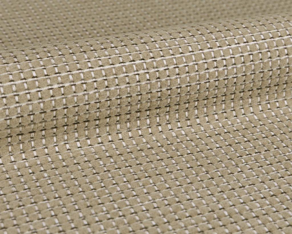 [1116370000005-Sample] Chive – Col 5 – Muestra