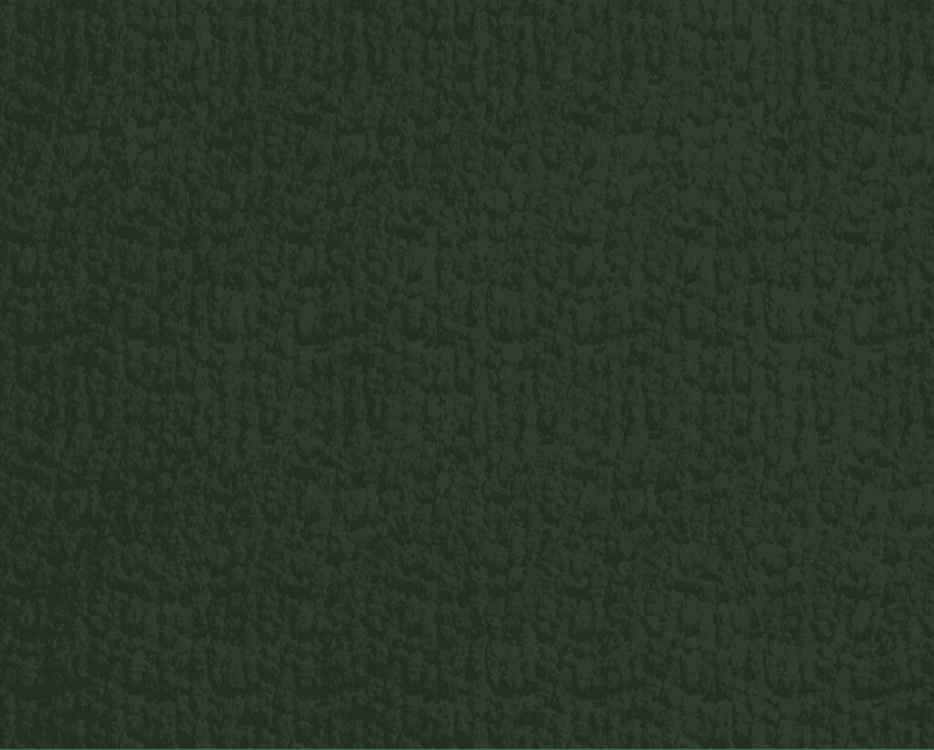 [1115470000013-Sample] Dolomite FR – Col 13 – Muestra