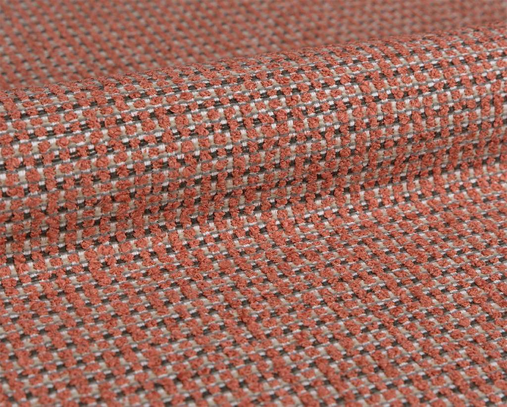 [1116360000010-Sample] Thyme – Col 10 – Muestra