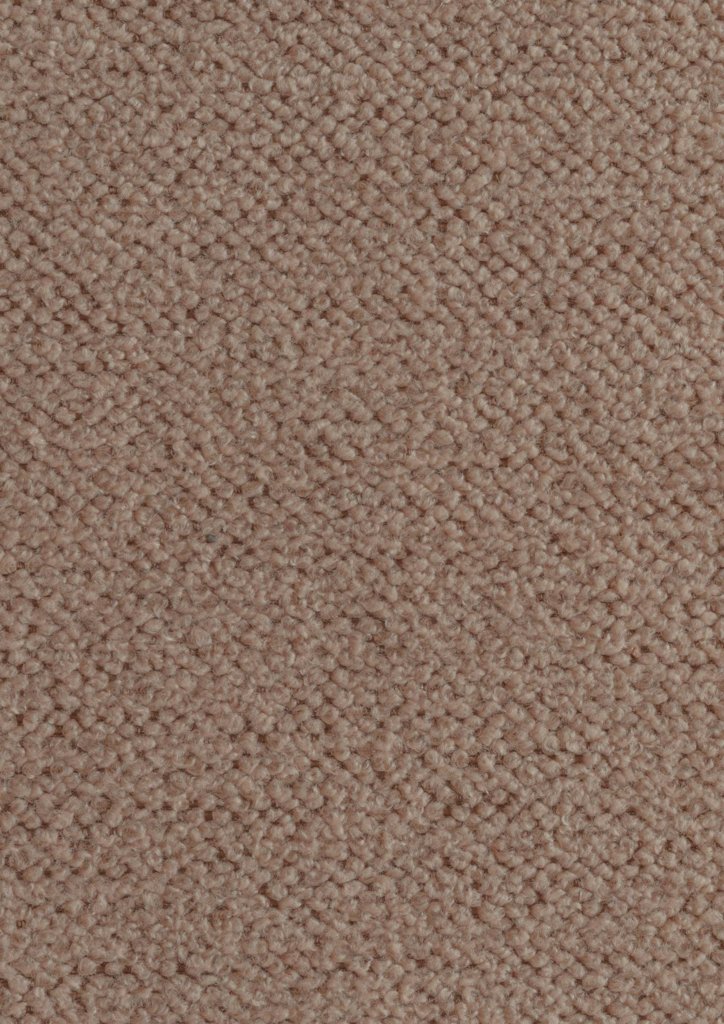 [1116770000015-Sample] Fennel FR – Col 15 – Muestra